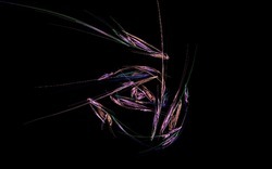 Apo7x-130619-5 (2).jpg